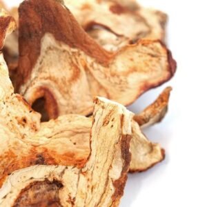 Buy Dried Lobster Mushroom Online Canada