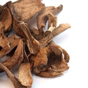 Buy Dried Porcini Mushrooms Online
