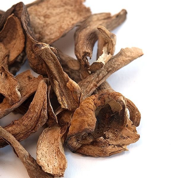 Buy Dried Porcini Mushrooms Online