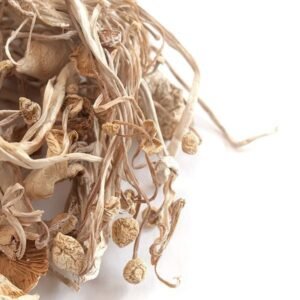 Where to Buy Enoki Mushrooms Online
