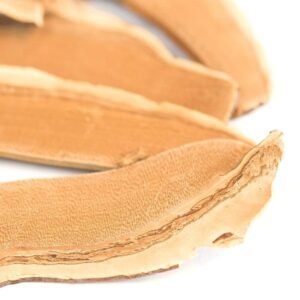 Buy Reishi Mushroom Near Me Online