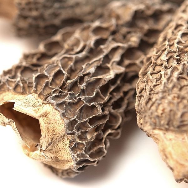 Morel Mushrooms for sale